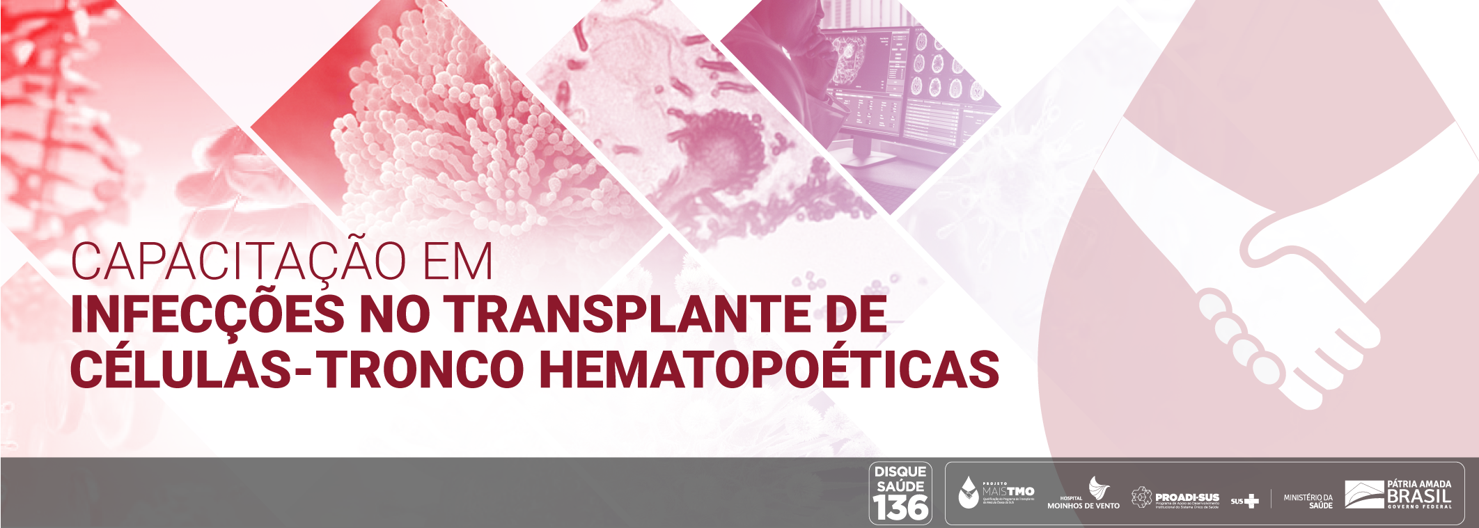 Capacitação em infecções no transplante de células-tronco hematopoéticas (TCTH) TMO_CITCH_2020